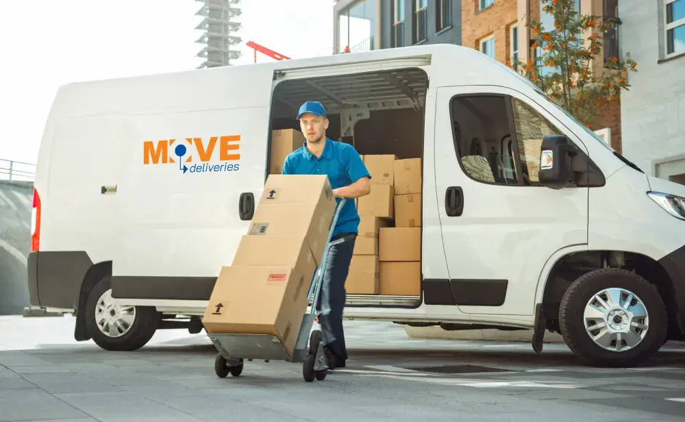 Same Day Delivery Van Driver